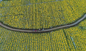 贛州農(nóng)業(yè)產(chǎn)業(yè)扶貧 水產(chǎn)養(yǎng)殖奏響攻堅(jiān)曲，扶出好“錢(qián)”景