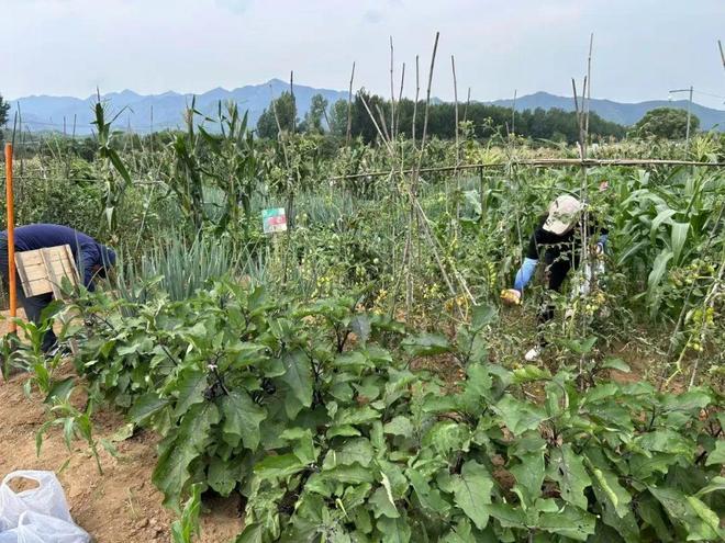 夜半驚雷，密云農(nóng)場(chǎng)在洪水中失守